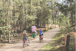 Fietsen in Twente: 5 routes die u niet wilt missen vanaf De Holtweijde