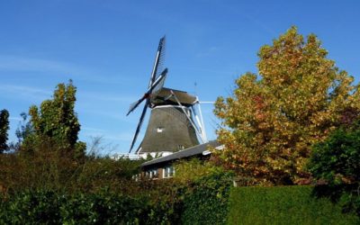 Molens & watermolens