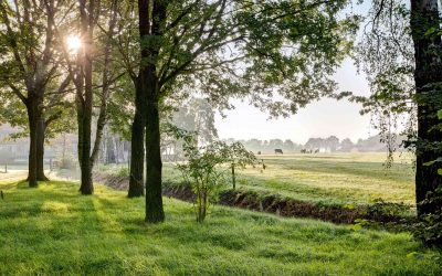 Romantisch overnachten in Nederland: verras uw partner met een verblijf in Twente Een moment voor uzelf, samen