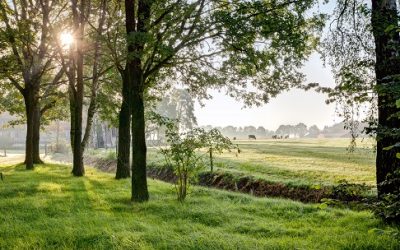 Landgoed de Holtweijde: de perfecte uitvalsbasis middenin de natuur