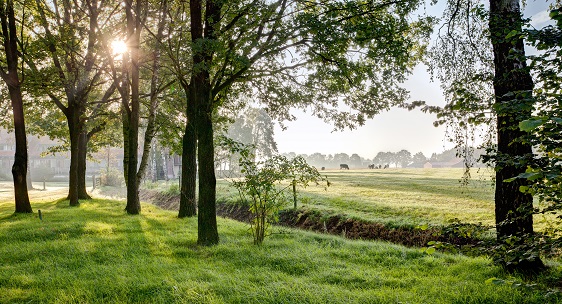 Landgoed de Holtweijde: de perfecte uitvalsbasis middenin de natuur