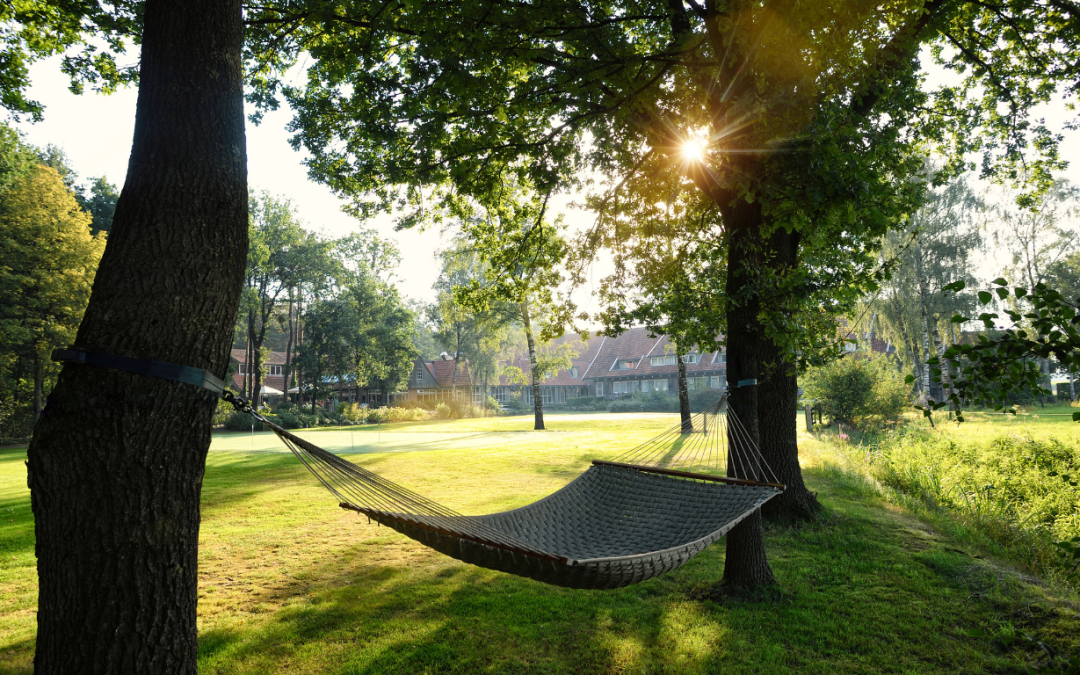 Natuurhuisje met hotelgemakken