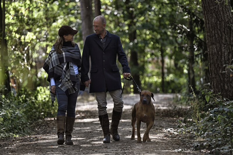 Wandelroutes rondom De Holtweijde: tips voor beginners en ervaren wandelaars