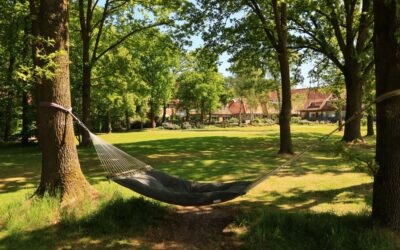 Bijzonder overnachten in de natuur: de rust van Twente op zijn mooist