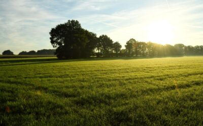 Ontwaken in het groen: waarom de lente dé tijd is voor een luxe weekend in Twente