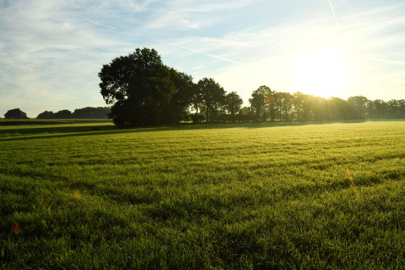 Ontwaken in het groen: waarom de lente dé tijd is voor een luxe weekend in Twente