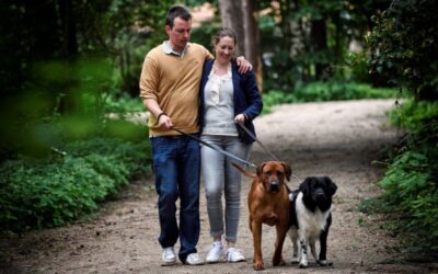 Weekend weg met uw hond? Daarom is De Holtweijde perfect voor u beiden