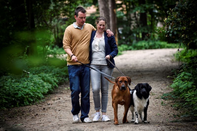 Weekend weg met uw hond? Daarom is De Holtweijde perfect voor u beiden